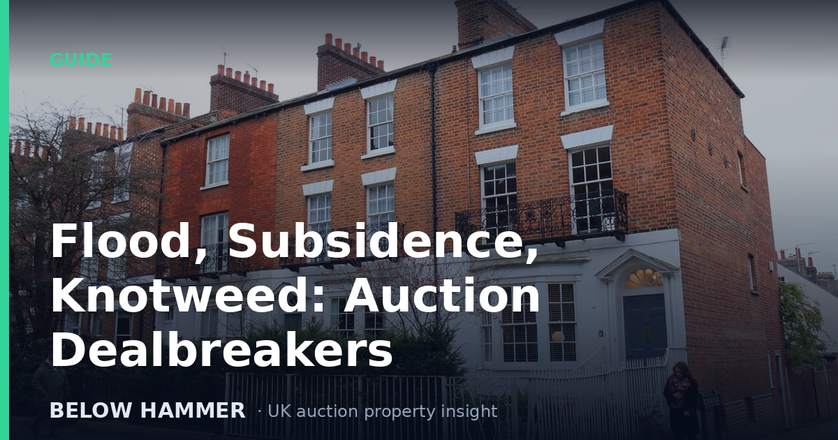 Flood, Subsidence, Knotweed: Auction Dealbreakers